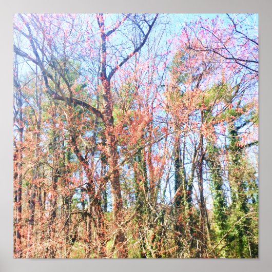 Een prachtig boslandschap in de lente poster (Voorkant)