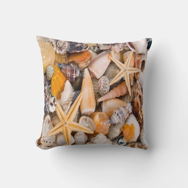 Een prachtig Collectie van Seashells op een kussen (Voorkant)