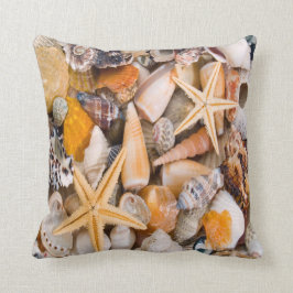 Een prachtig Collectie van Seashells op een kussen