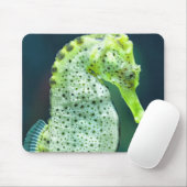 Een prachtig Knysna Seahorse Muismat (Met muis)