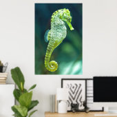 Een prachtig Knysna Seahorse Poster (Thuiskantoor)