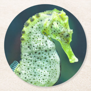 Een prachtig Knysna Seahorse Ronde Kartonnen Onderzetter