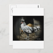 een prachtig ontwerp van een mooie exotische vogel briefkaart (Voorkant / Achterkant)