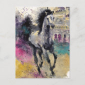 Een prachtig paard briefkaart (Voorkant)