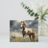 Een prachtig Pinto Paard Briefkaart (Staand voorkant)