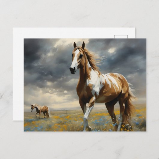 Een prachtig Pinto Paard Briefkaart (Voorkant / Achterkant)