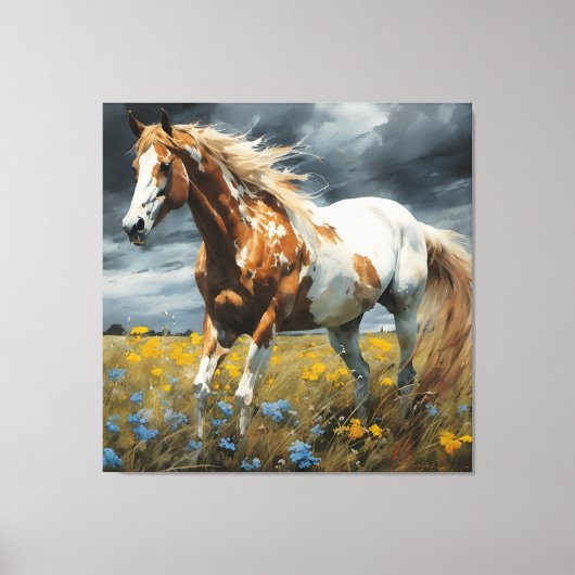 Een prachtig Pinto Paard Canvas Afdruk (Voorkant)