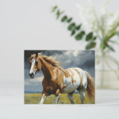 Een prachtig Pinto Paard in de wei Briefkaart (Staand voorkant)