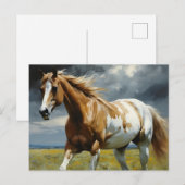 Een prachtig Pinto Paard in de wei Briefkaart (Voorkant / Achterkant)