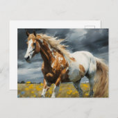 Een prachtig Pinto Paard in de wei Briefkaart (Voorkant / Achterkant)