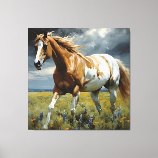Een prachtig Pinto Paard in de wei Canvas Afdruk (Voorkant)