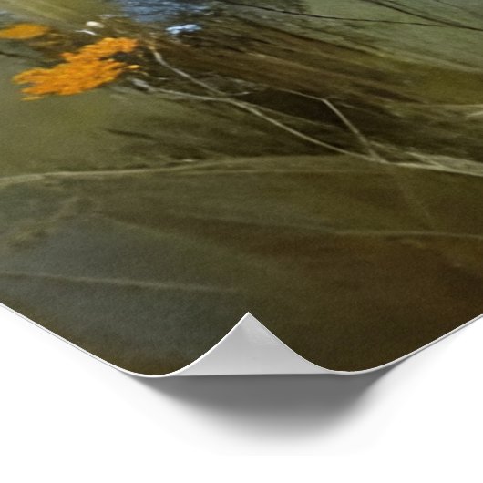 Een prachtig Pinto Paard in de wei Poster (Hoek)