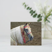 Een prachtig portret van het Palomino-paard Foto Briefkaart (Staand voorkant)