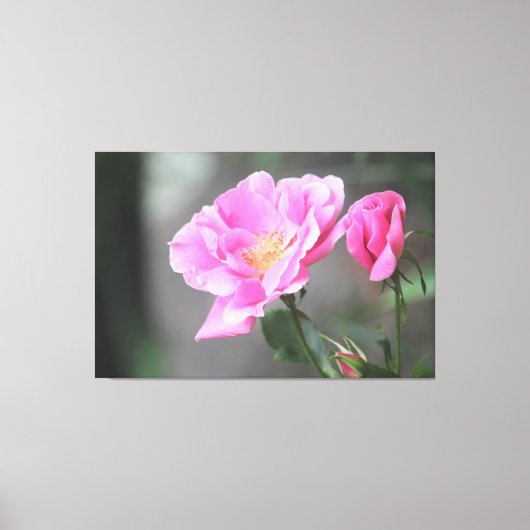 Een prachtig roze rozendoek canvas afdruk (Voorkant)