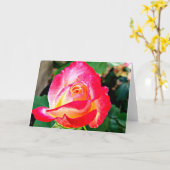 Een prachtig Rozen Wenskaart Kaart (Gele Bloem)