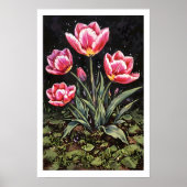Een prachtig tulpenbol poster (Voorkant)
