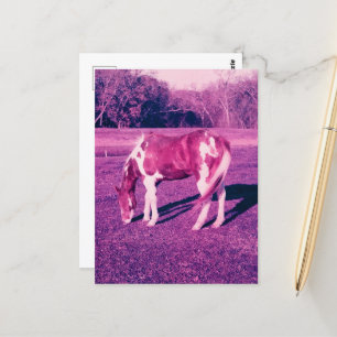 Een prachtig verfpaard is vervallen filmfotografie briefkaart