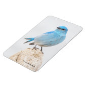 Een prachtige bergvogel op een steegje magneet (Linkerzijde)