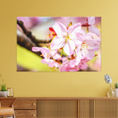 Een prachtige bos roze Sakura-bloesems in de lente Canvas Afdruk (Insitu (Woonkamer))
