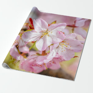 Een prachtige bundel roze Sakura-bloemen Cadeaupapier