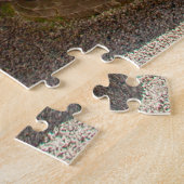 Een prachtige fontein in een tuin op het Como-meer Legpuzzel (Zijkant)