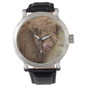 Een prachtige foto van een hooglandkoe horloge