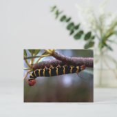 Een prachtige kleurige driehoek briefkaart (Staand voorkant)