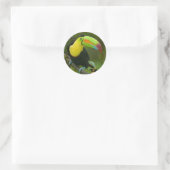 Een prachtige toucan vogel op een tak. ronde sticker (Tas)