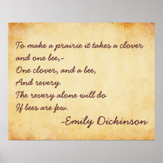 Een prairie maken poster