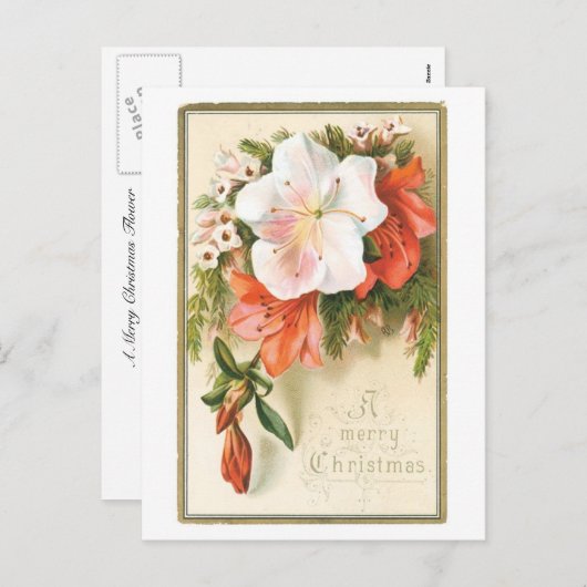 Een prettige kerstventilator feestdagenkaart (Voorkant / Achterkant)