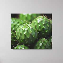 Een prikkelend ensemble Cactus Photorealism Botani Canvas Afdruk