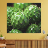 Een prikkelend ensemble Cactus Photorealism Botani Canvas Afdruk (Insitu (Woonkamer))