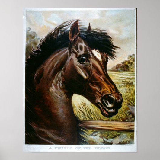 Een prins van het bloed poster (Voorkant)