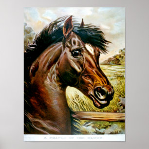 Een prins van het bloed poster