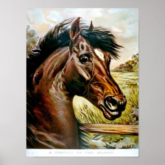 Een prins van het bloed poster (Voorkant)