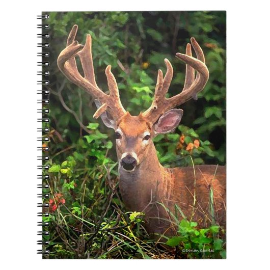"Een prins van het bos"-notebook Notitieboek (Voorkant)