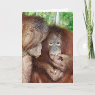 Een prinses krijgt alle behandelingen kaart