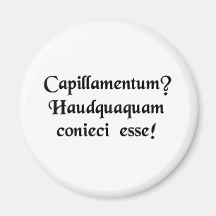 Een pruik? Ik zou het nooit hebben geraden! Magneet