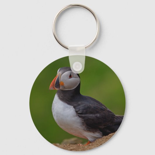 Eén Puffin Sleutelhanger (Voorkant)