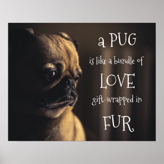 Een pug is een bundel liefdescadeautjes in vier poster (Voorkant)