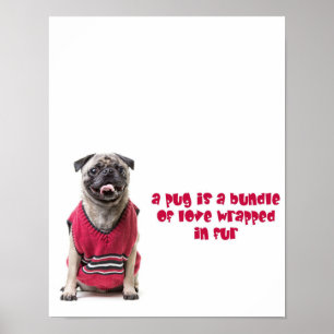 Een pug is een bundel van liefde die in vier wordt poster