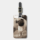 Een pug met zijn hoofd aan de zijkant getild bagagelabel (Voorkant verticaal)