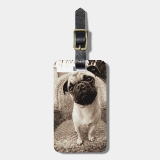 Een pug met zijn hoofd aan de zijkant getild bagagelabel (Voorkant verticaal)