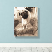Een pug met zijn hoofd aan de zijkant getild canvas afdruk (Insitu (Houten vloer))
