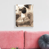Een pug met zijn hoofd aan de zijkant getild canvas afdruk (Insitu (Woonkamer))