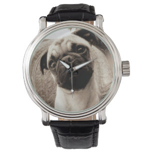 Een pug met zijn hoofd aan de zijkant getild horloge