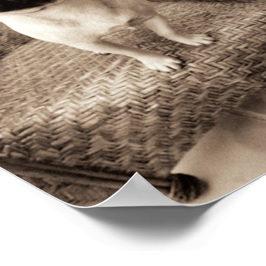 Een pug met zijn hoofd aan de zijkant getild poster (Hoek)