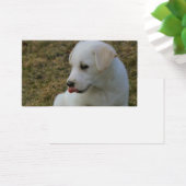 Een Puppies tong Visitekaartje (Bureau)