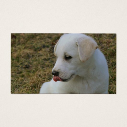 Een Puppies tong Visitekaartje (Voorkant)