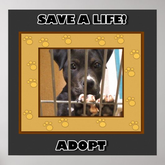 Een puppy poster goedkeuren (Voorkant)